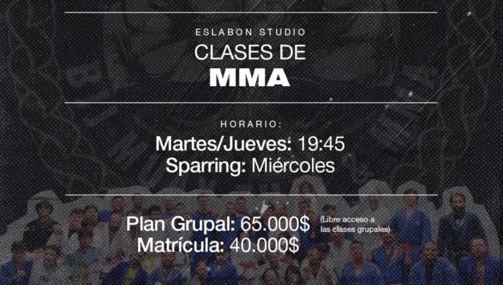 mma para principiantes